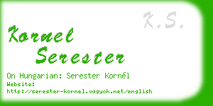 kornel serester business card